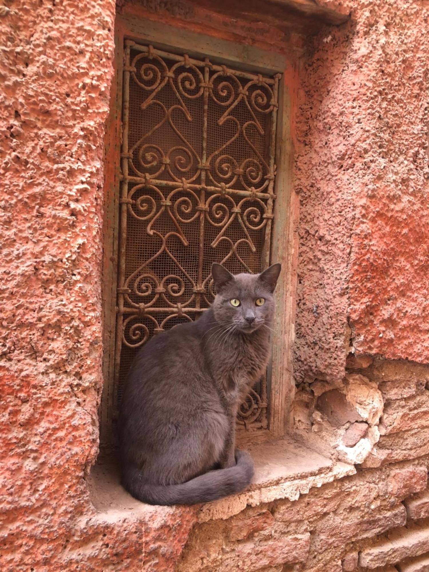 Riad Abbassia Marrakech Premiere Marrakesch Exterior foto